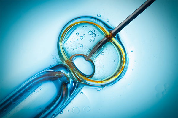 IVF: Cutting Edge Technology Creating Families