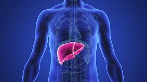 World Liver Day: Tips to maintain a healthy liver