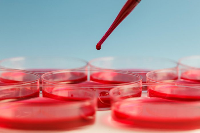 Punjab: Govt hospitals to provide free of cost blood