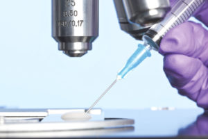 IVF