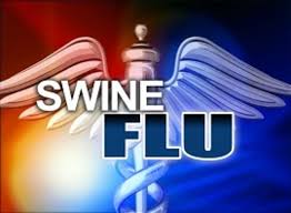 Rajasthan Govt launches screening drive to contain Swine flu menace