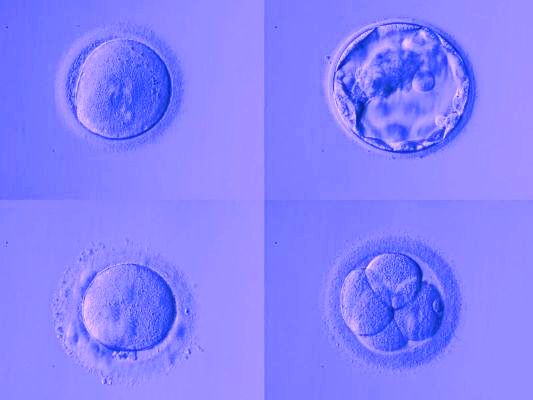Woman receives bliss of motherhood from 9-year-old frozen embryo