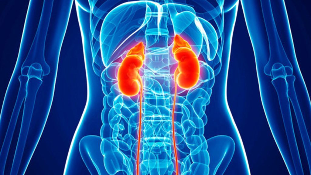 Diet and workout tips for people suffering from kidney disease