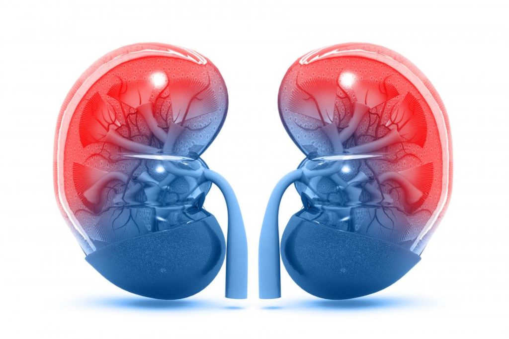 ‘Kidney care should be accessible to everyone’