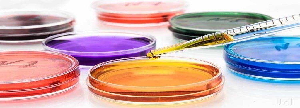 Gurugram-based startup 1mg raises $ 10 mn