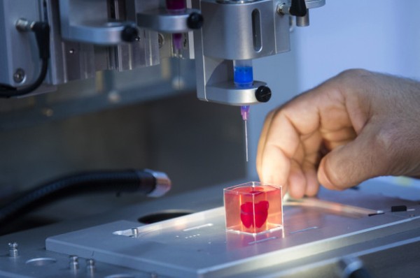 Scientists develop ‘first’ 3D print of heart with human tissue, vessels