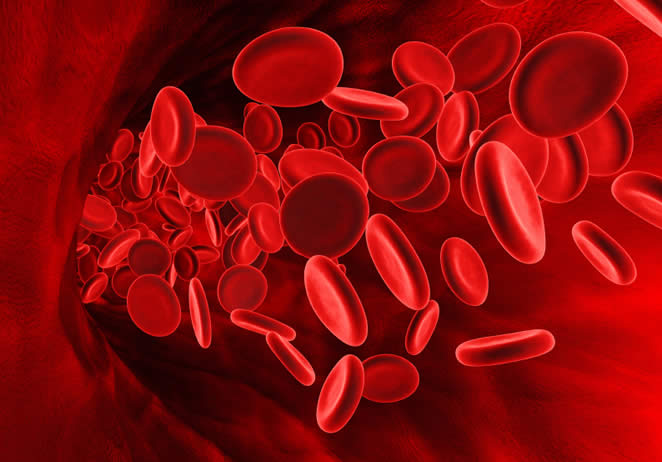 Roche launches Hemophilia A drug Hemlibra in India