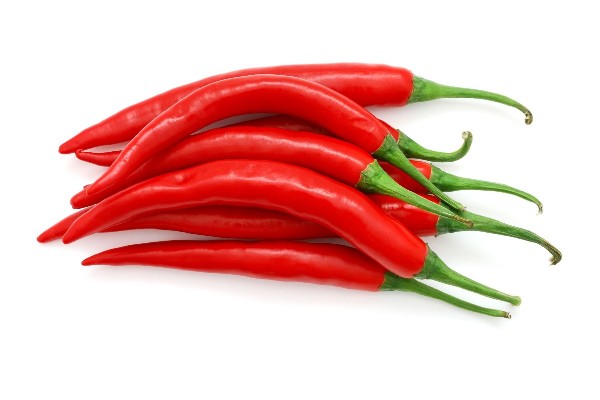 Scientists identify medicinal property of chilli