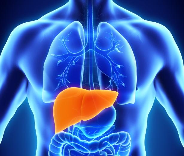 World Hepatitis Day: Know all about the viral disease