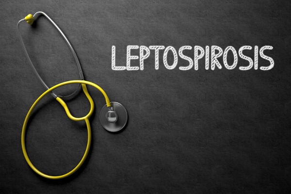 Stay safe from Leptospirosis- A deadly monsoon malady