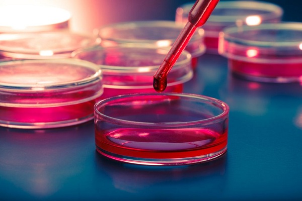 ICMR set to release guidelines on stem cell research