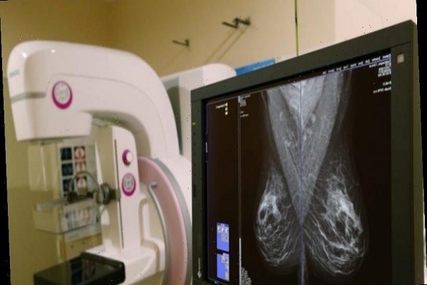 Google system could improve breast cancer detection: Study