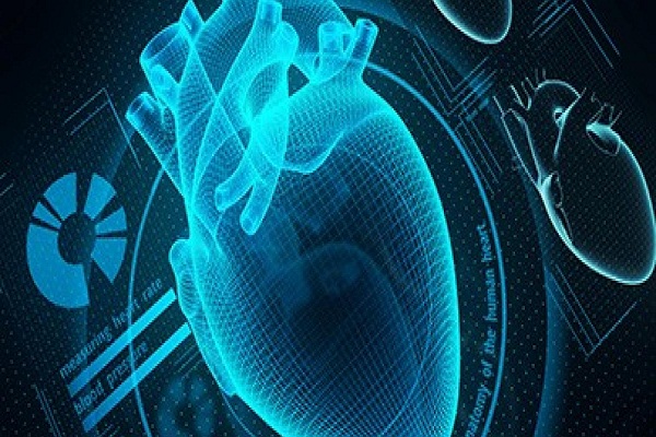 Govt plans personal health IDs to bolster digital health