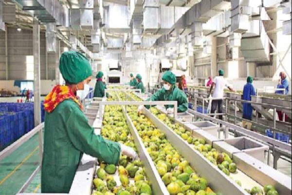 Govt Inaugurates 21 Food Processing Projects