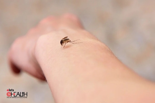 Uttar Pradesh government set to launch a new mission to eradicate vector borne diseases