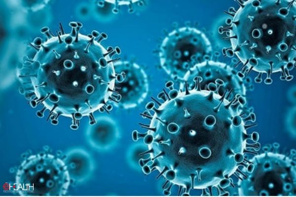 VINCOV-19, an antidote, and a cure against COVID-19 completes Phase 2 clinical trials
